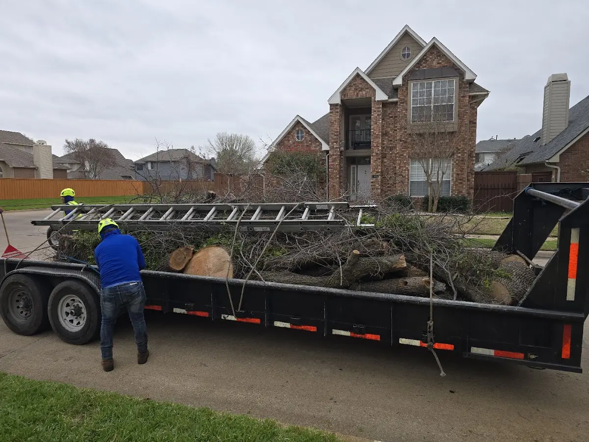 Expert Tree Removal with proper safety equipment in Edwardsburg